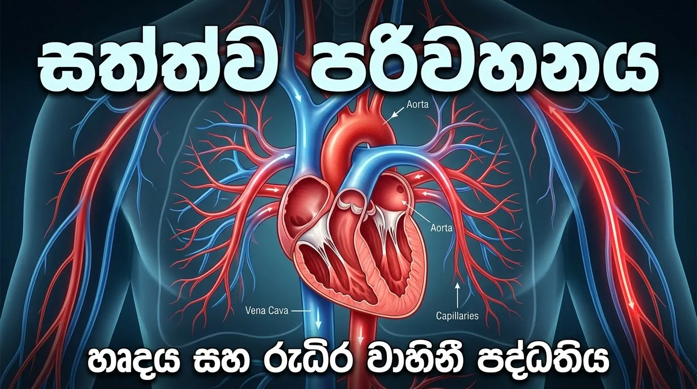 A/L Biology සත්ත්ව පරිවහනය | Deshapriya Senevirathne | Clazz.lk