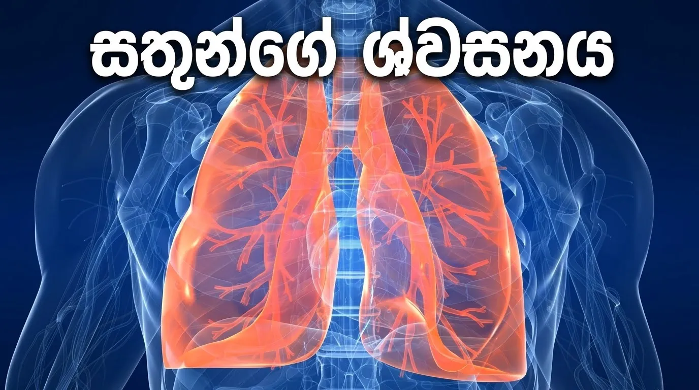 A/L Biology සතුන්ගේ ශ්වසනය | Deshapriya Senevirathne | Clazz.lk