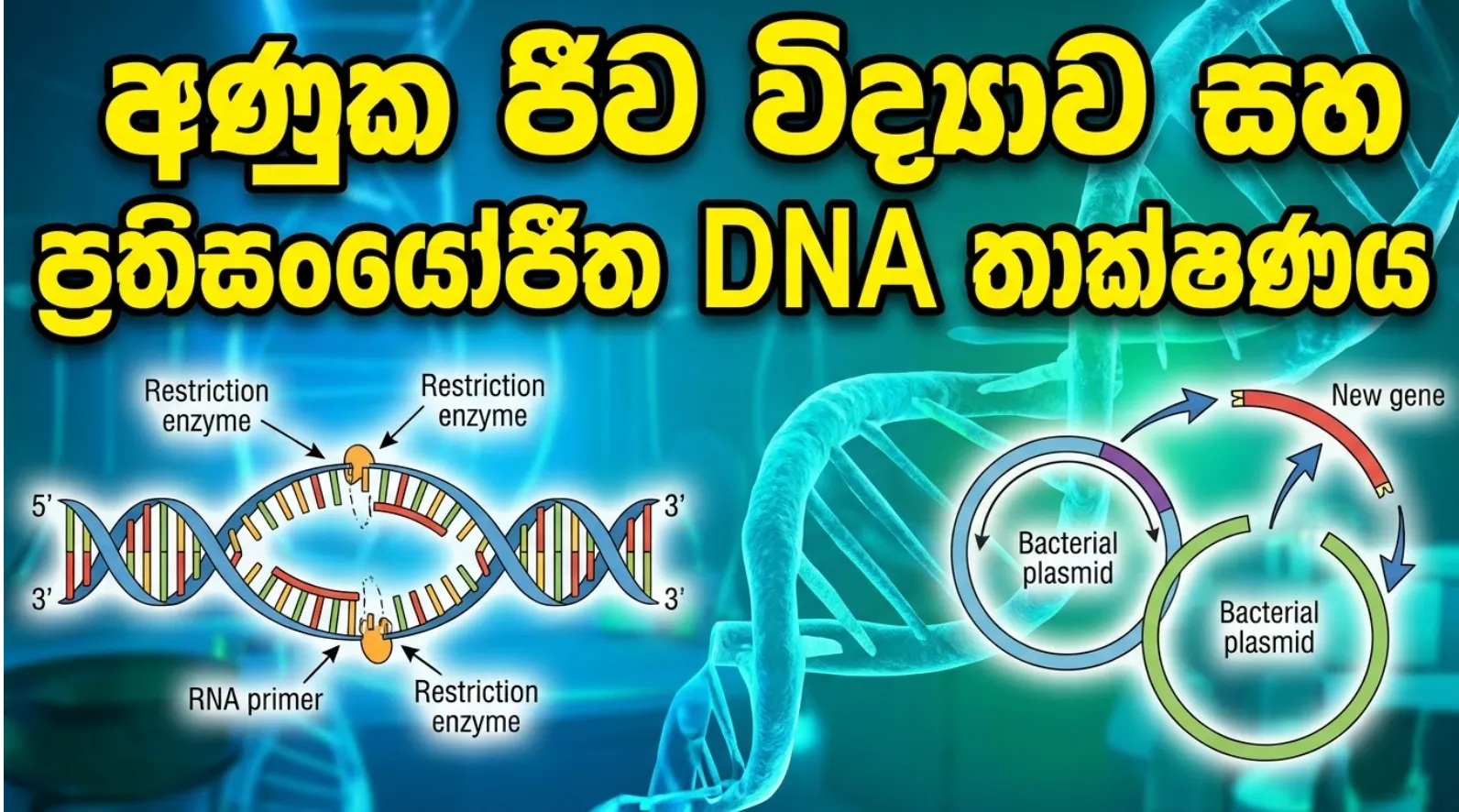 A/L Biology ,Molecular Biology  | Deshapriya Senevirathne | Clazz.lk