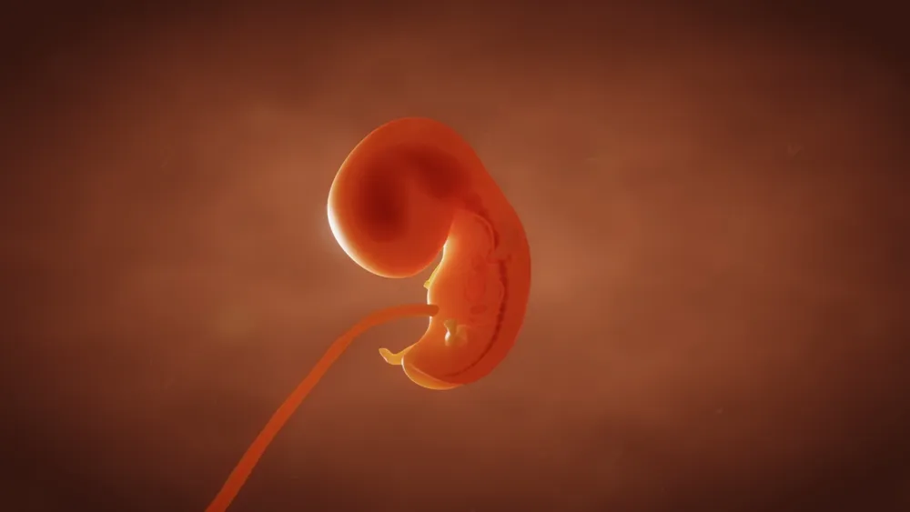 Can We Solve The Embryo Crisis?