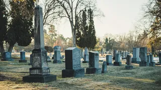 In the Boneyard of Dead Orthodoxy