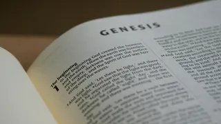 Voting As Christians: The Creation Order Political Scorecard