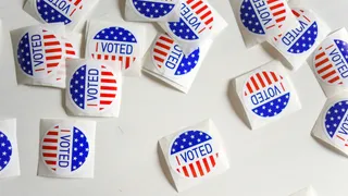 Why Vote?