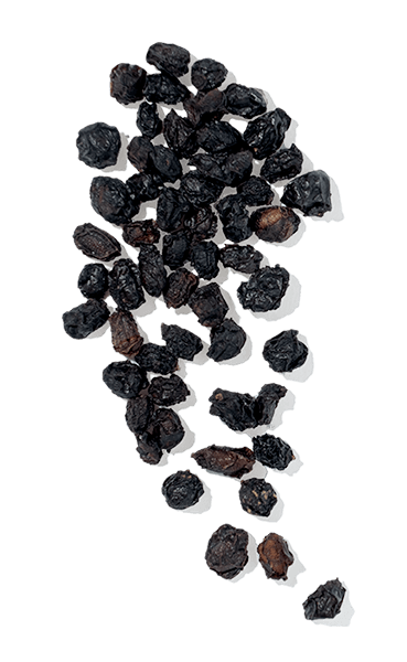 Elderberry Fruit