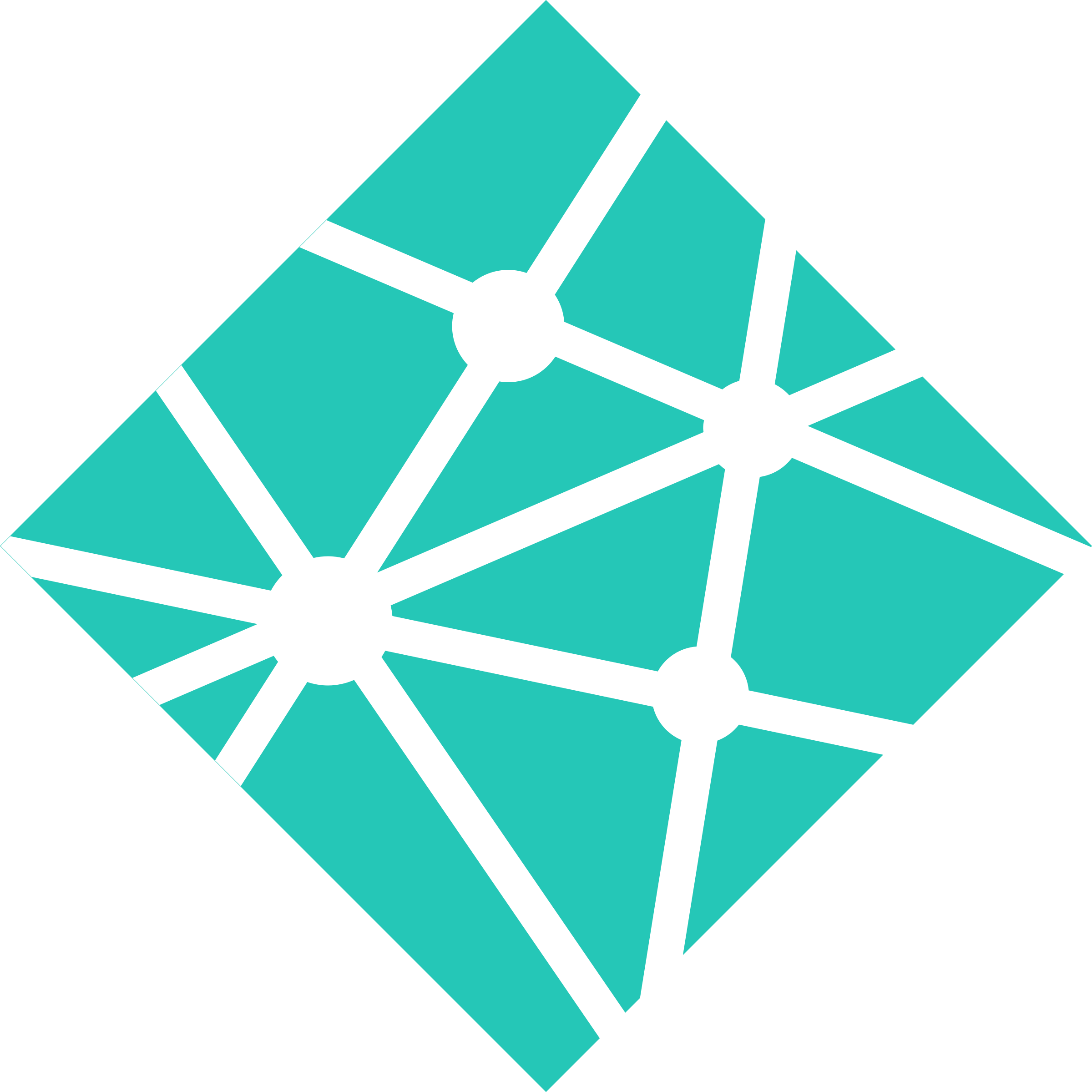 Logo Netlify