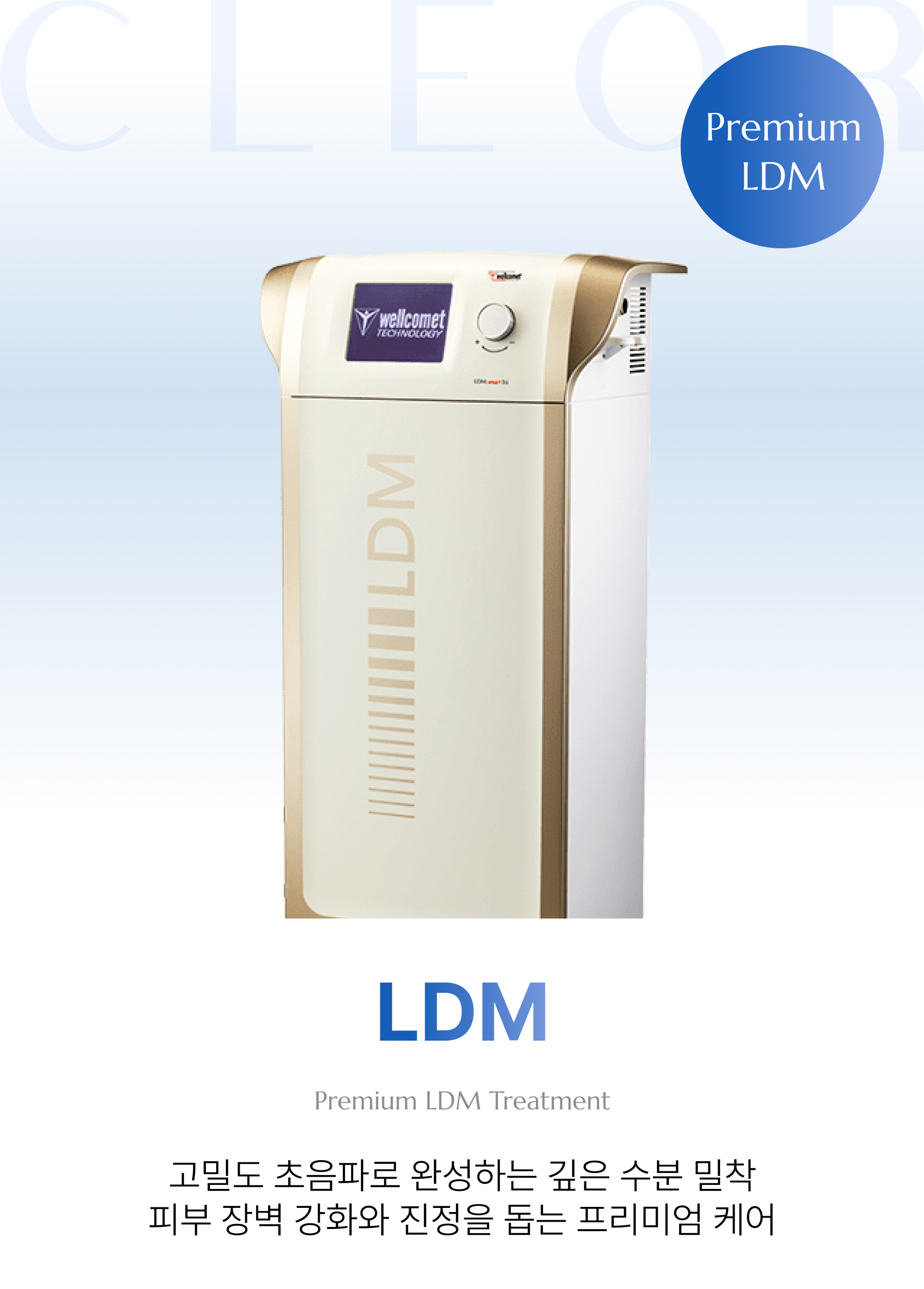 LDM