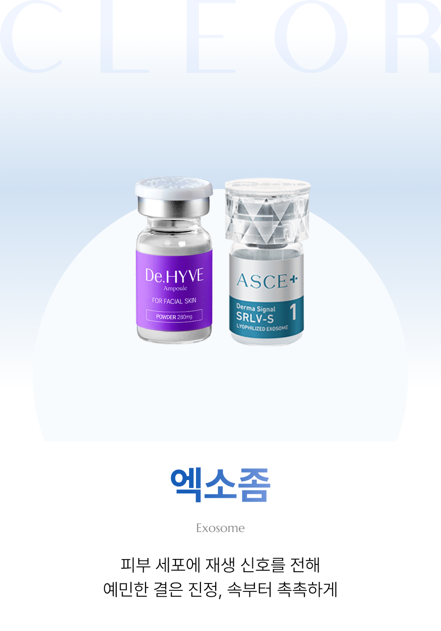 엑소좀