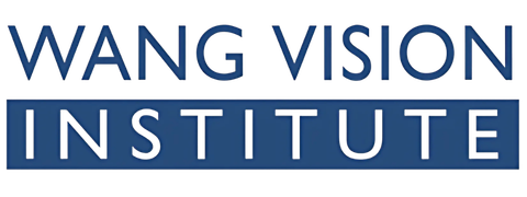 Wang Vision Institute logo