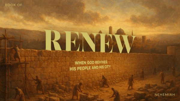 Renew
