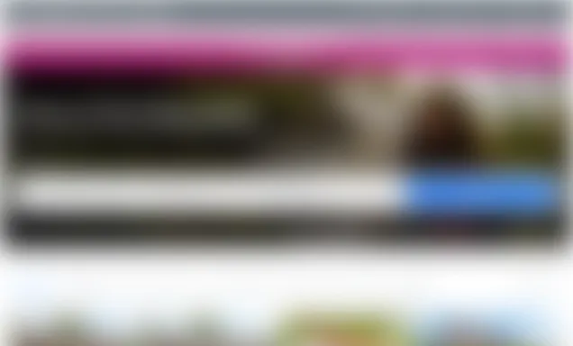 Holiday rental agency