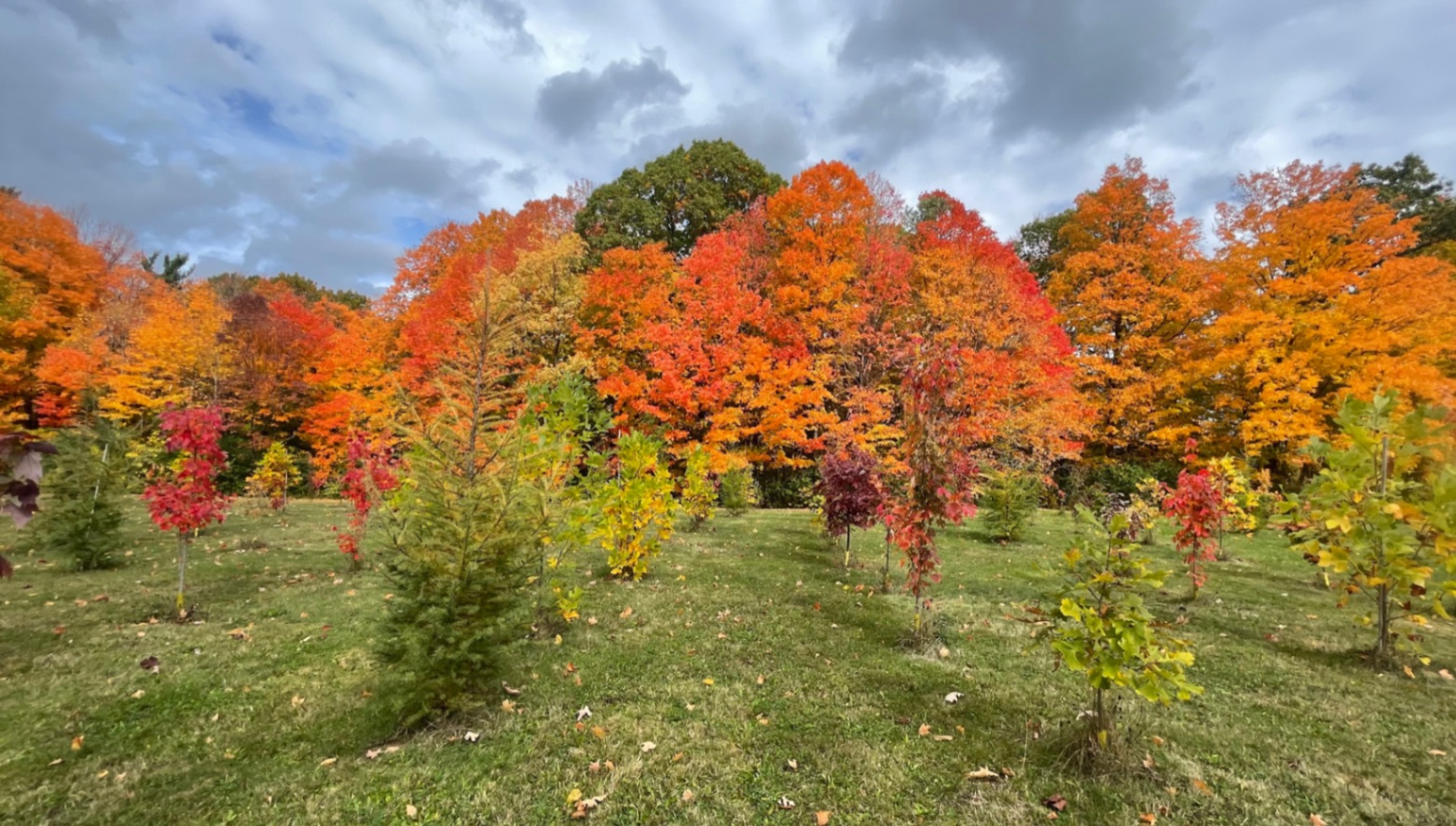 Community photo submission