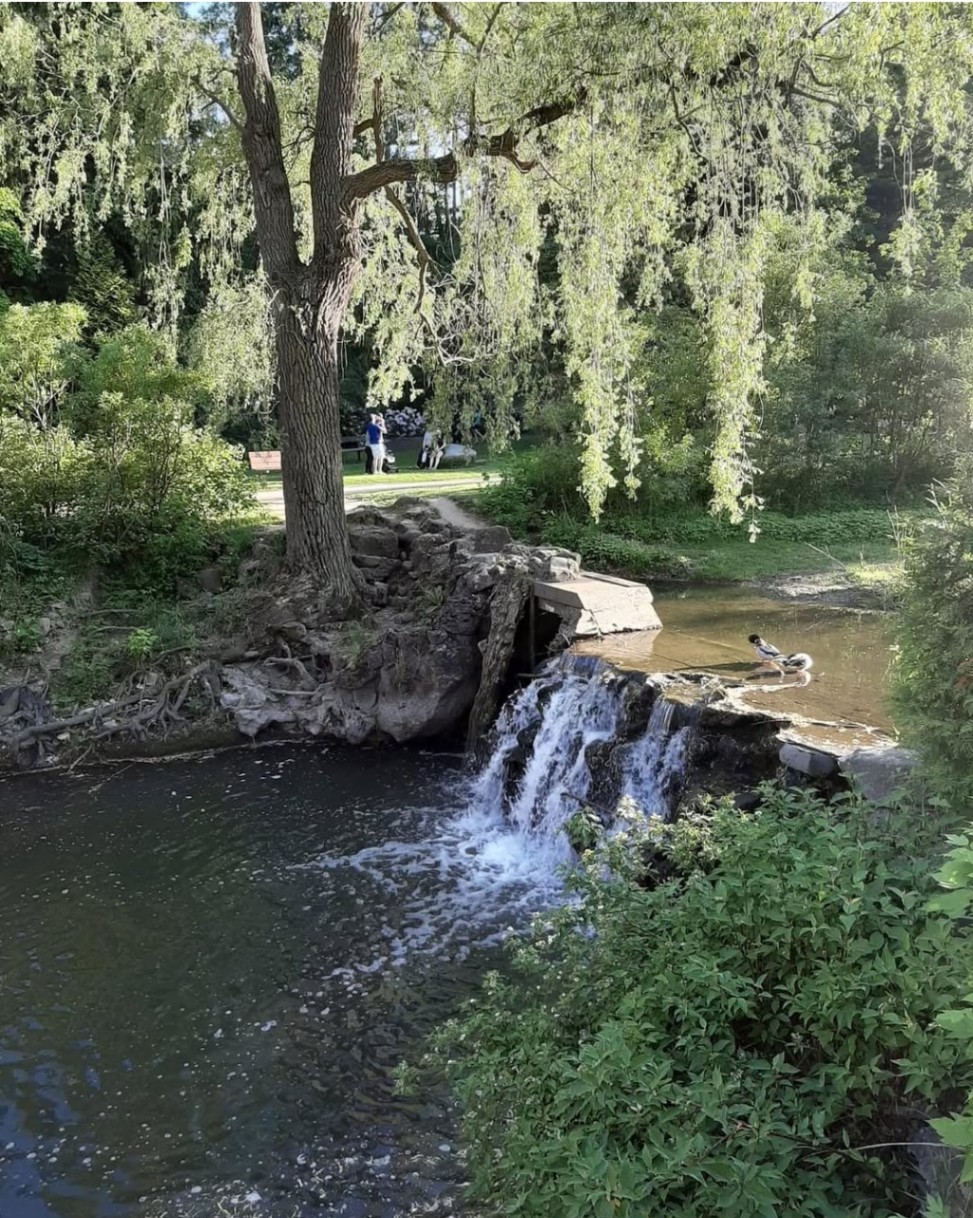 Beautiful Waterfall at Don Valley Bike Trails