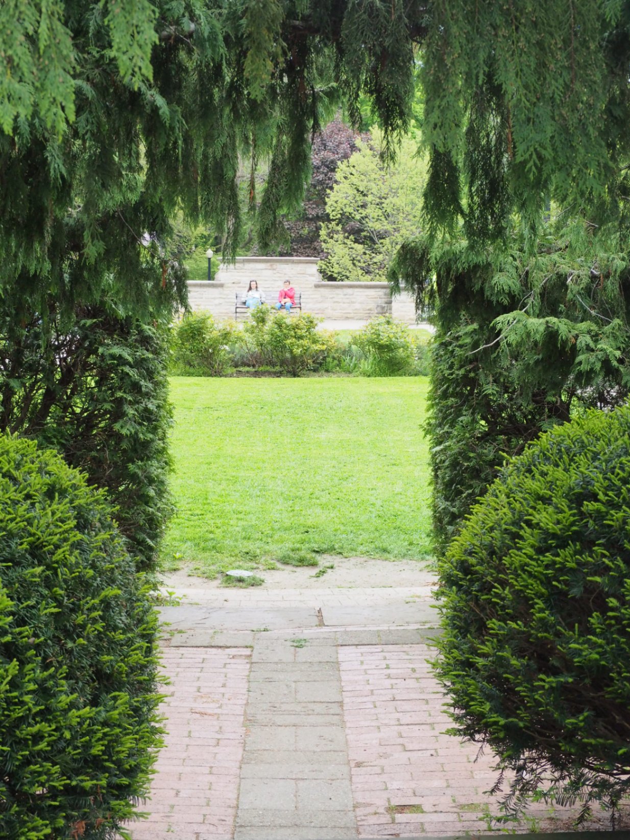 Community photo submission