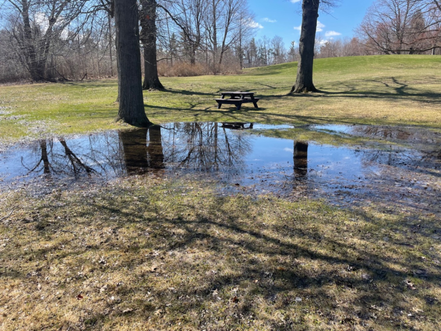 Spring melt, McLean House, Estates of Sunnybrook