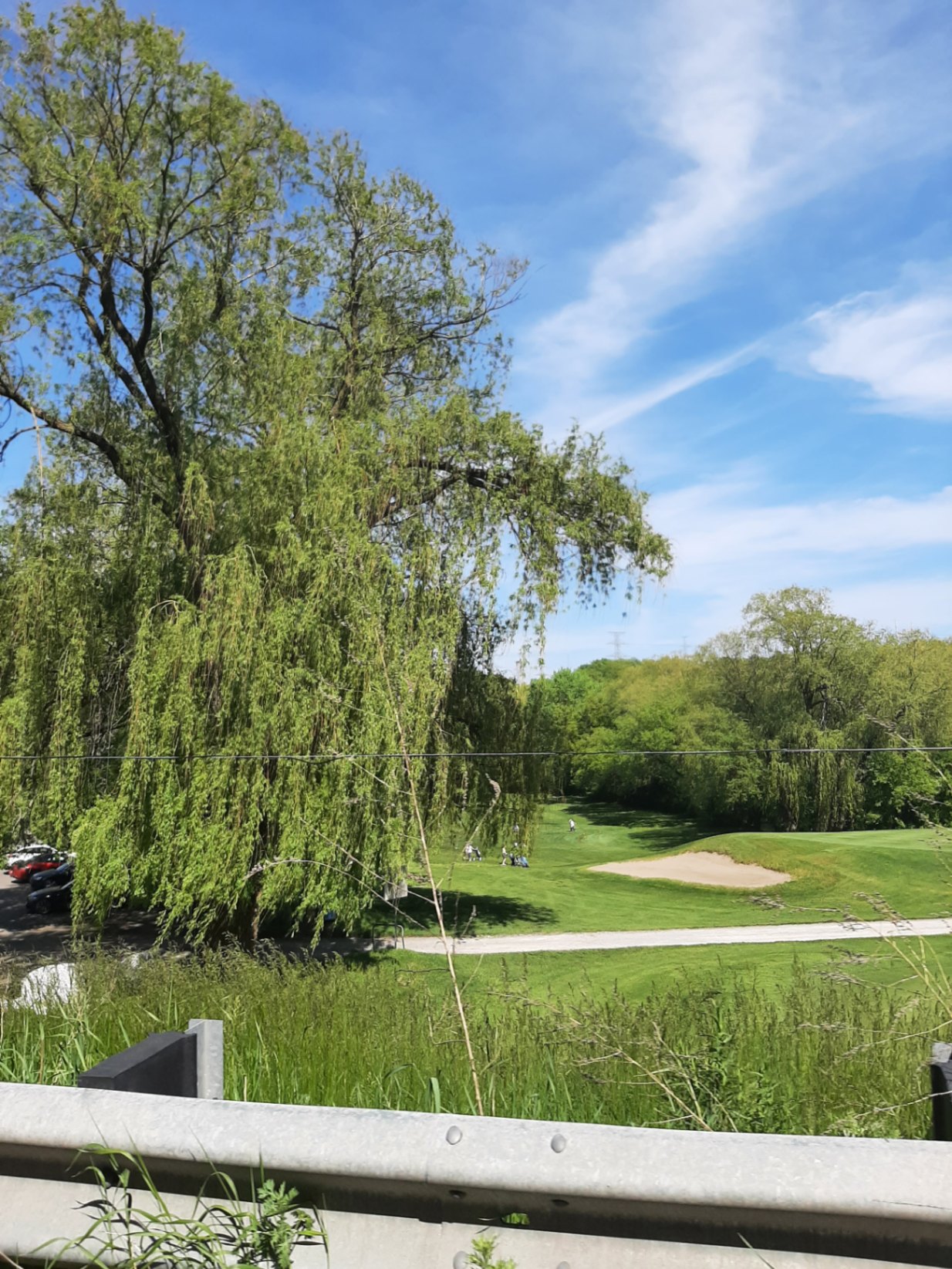 Flemingdon Golf Course 