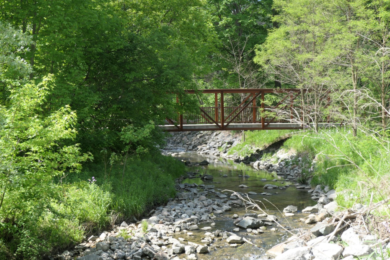 Brige crossing Don River