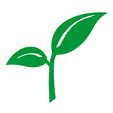 Spring Bank icon
