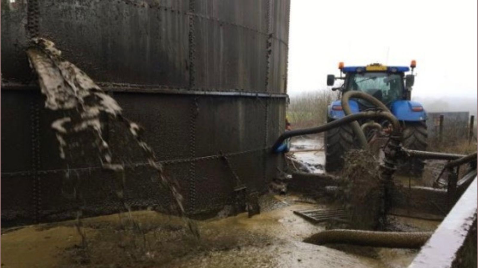 Toxic Truths: The Human Cost of Factory Farming