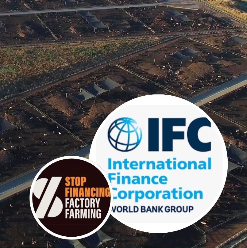 The World Bank in the Spotlight: Financing an Industry Killing Sustainable Development