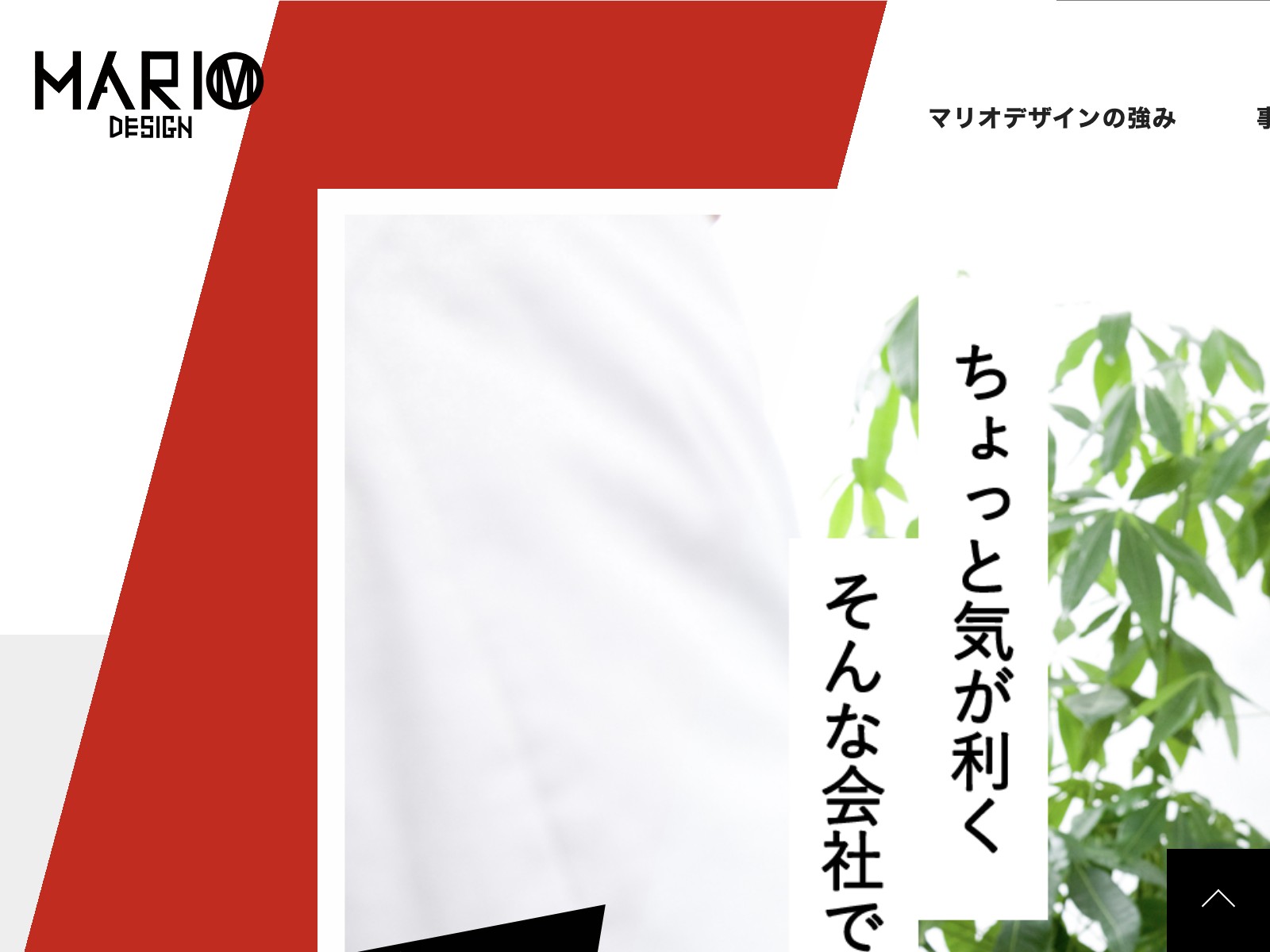 マリオデザイン株式会社