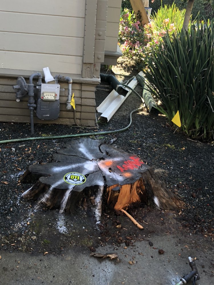 Stump Grinding/Removal background