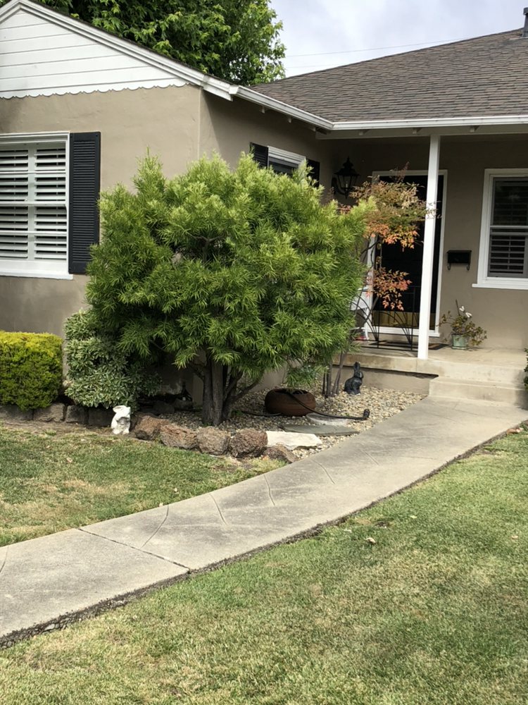 Tree Trimming background
