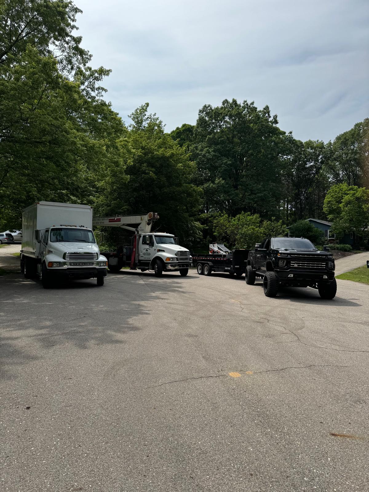 We'll Deal With Any Tree Problem You Have Fast And Efficiently