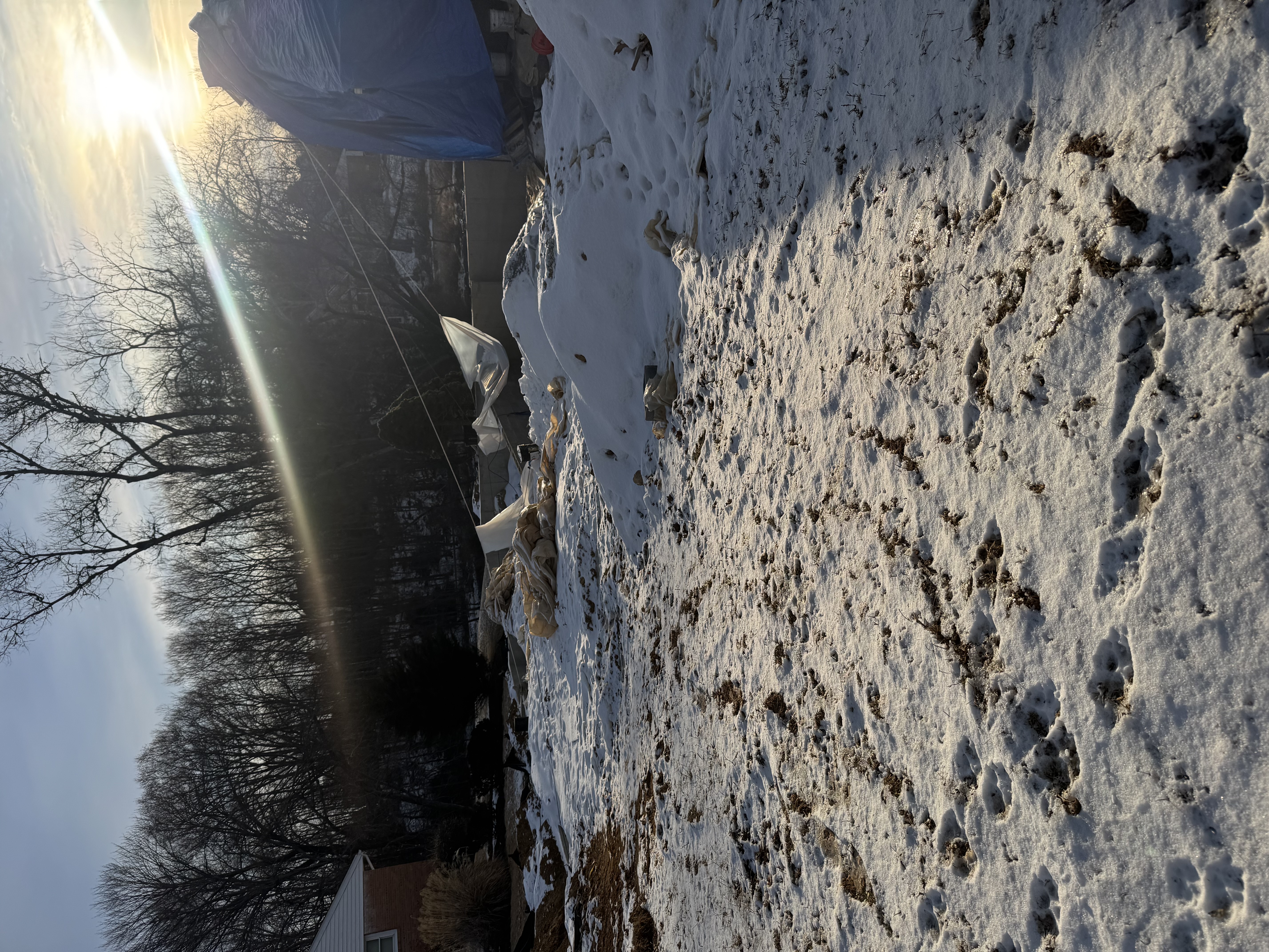 images-28