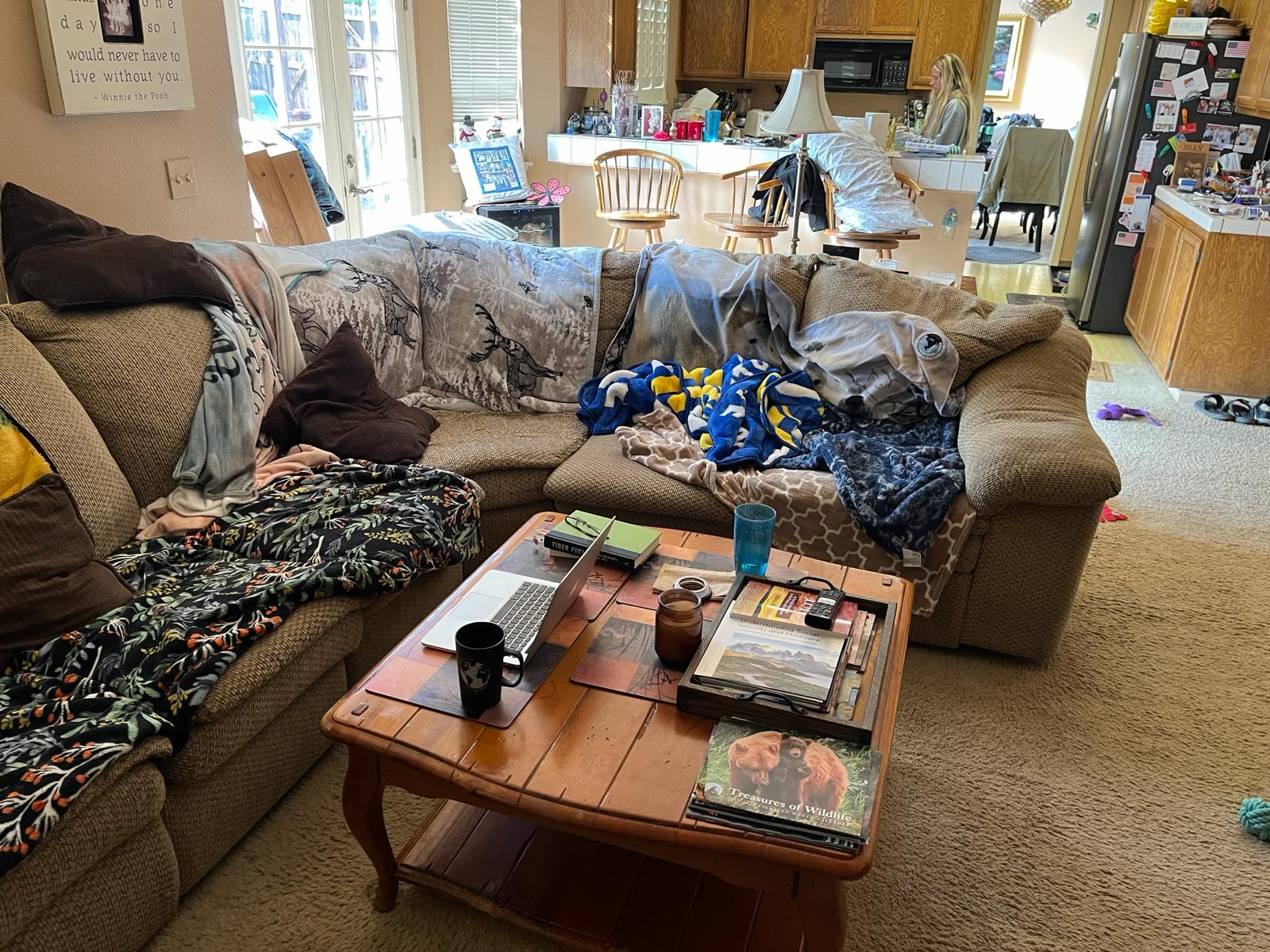 Property Cleanouts