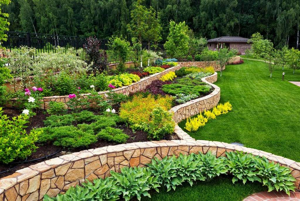 Landscaping Design background
