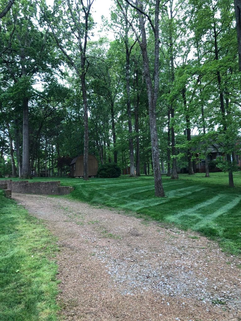 Landscape Maintenance background