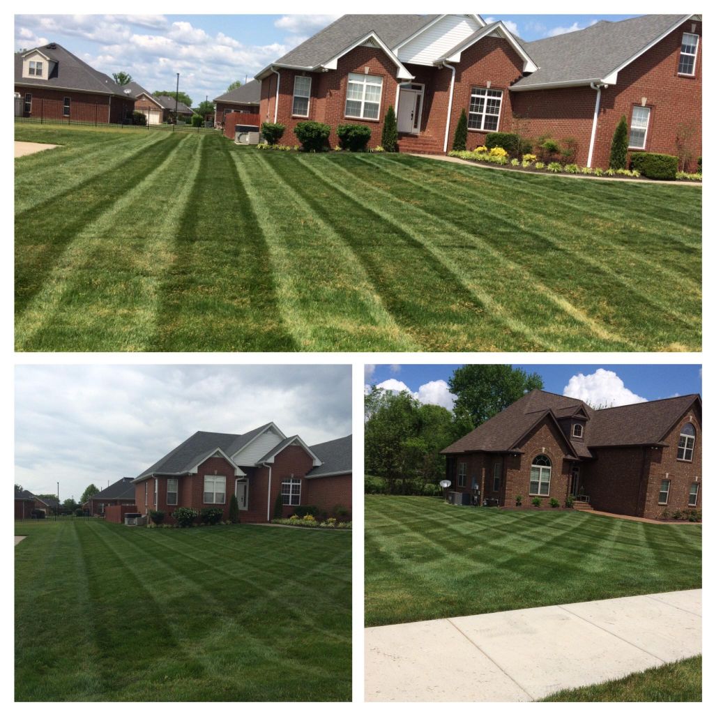 Sod Installation background