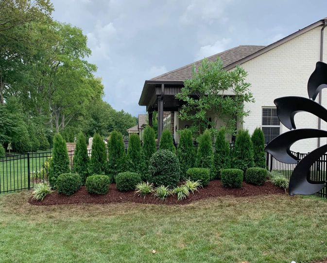 Tree Trimming background