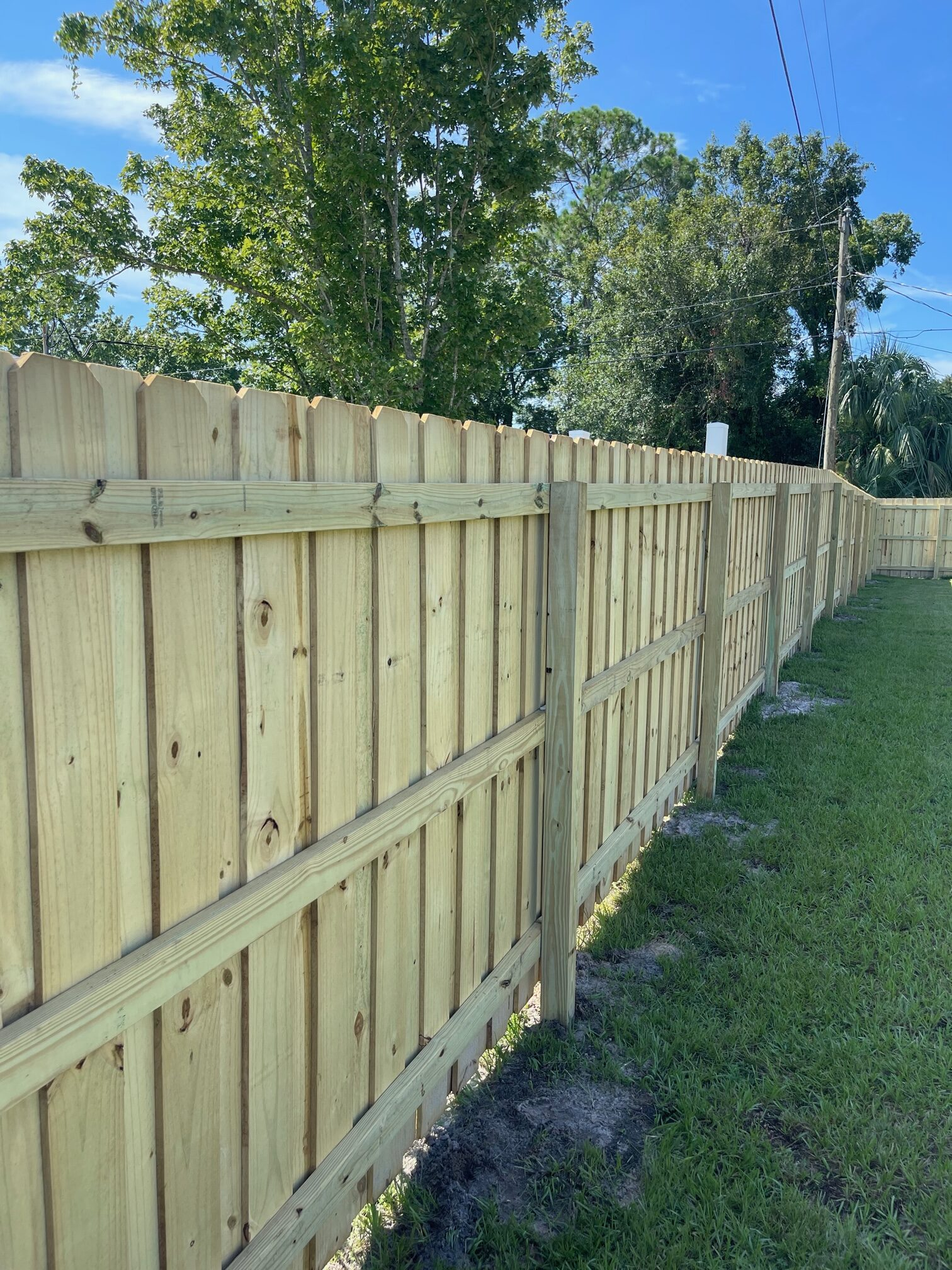 Privacy Wood Fences Height: 6–8 ft