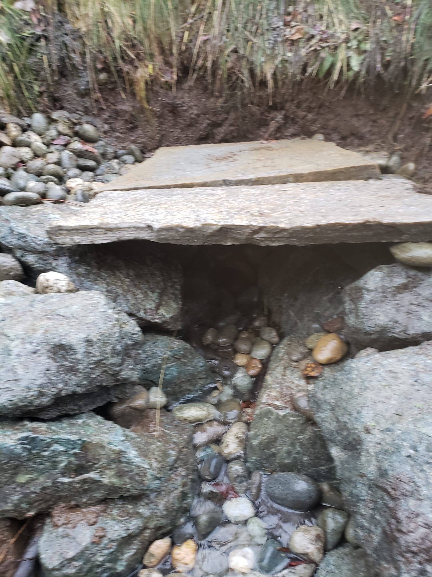 Vista Landscaping & Construction LLC featured