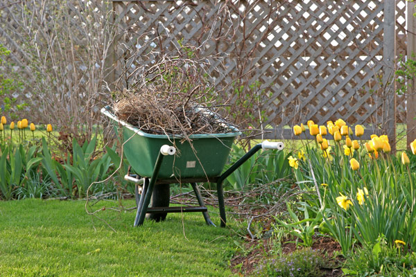 Garden Installation