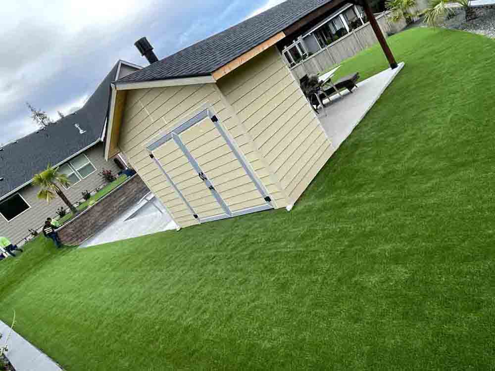 Lawn Renovation background