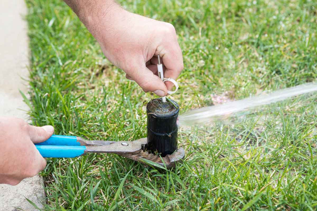 Irrigation