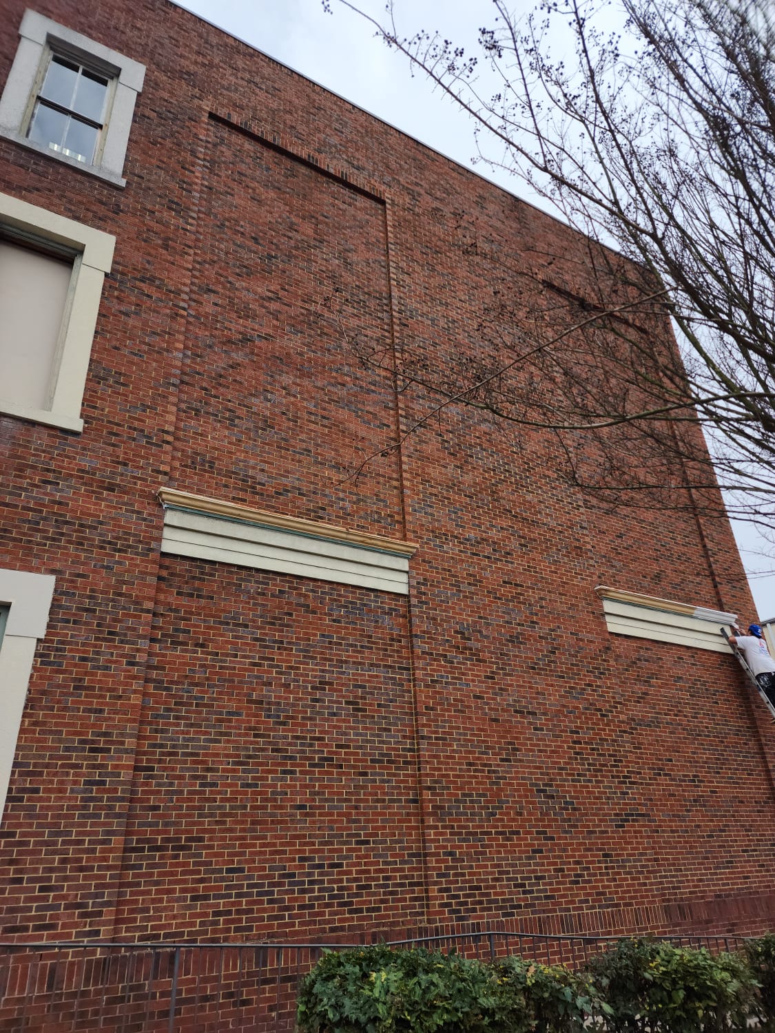 images-6