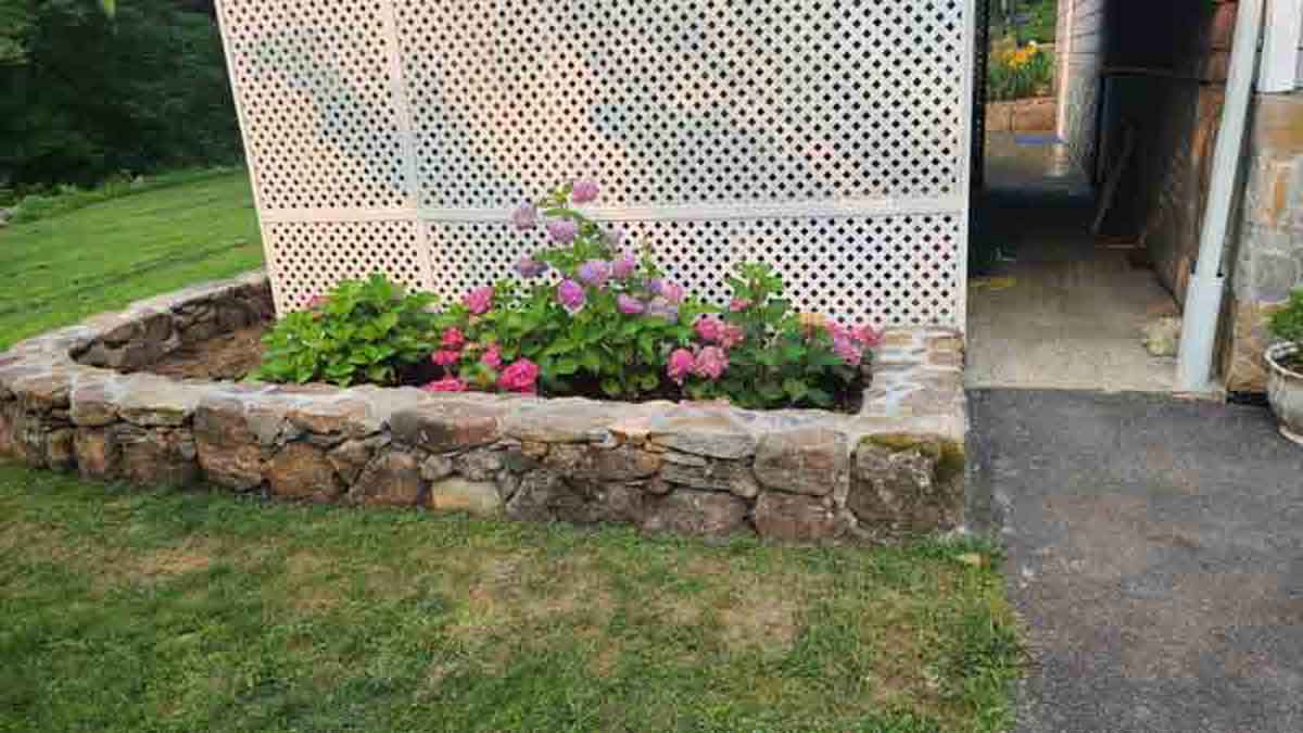 images-37