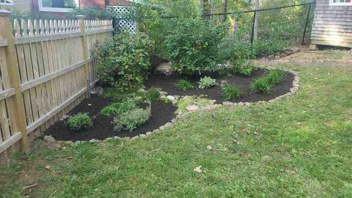 images-19