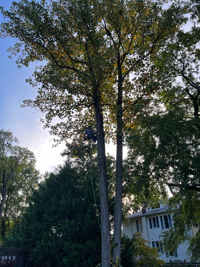 images-47
