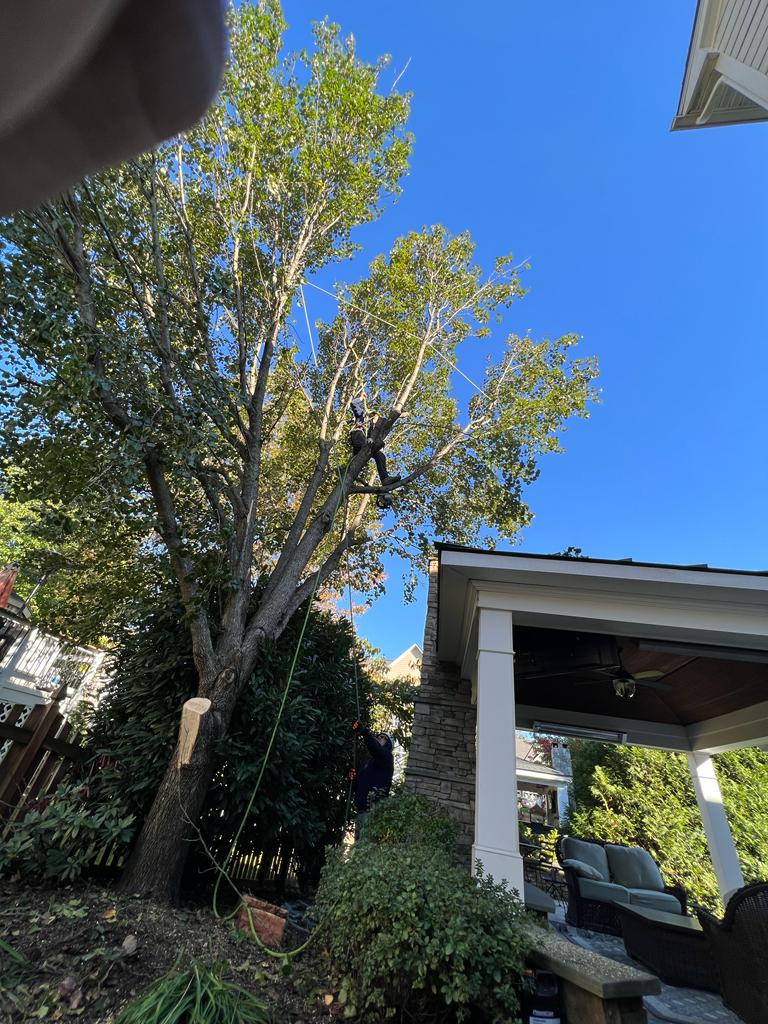 images-19