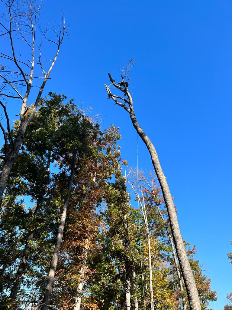 images-18