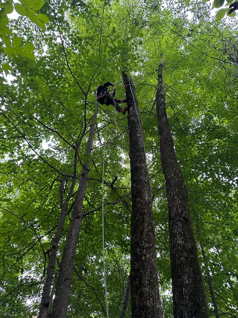 images-1