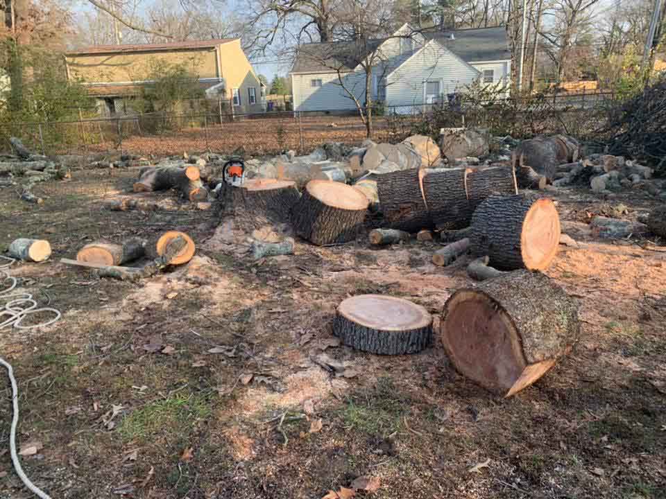 Stump Grinding