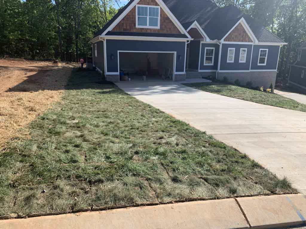 Landscape Maintenance & Installation