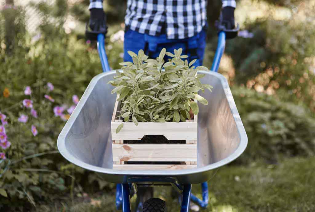 Gardening & Planting Services
