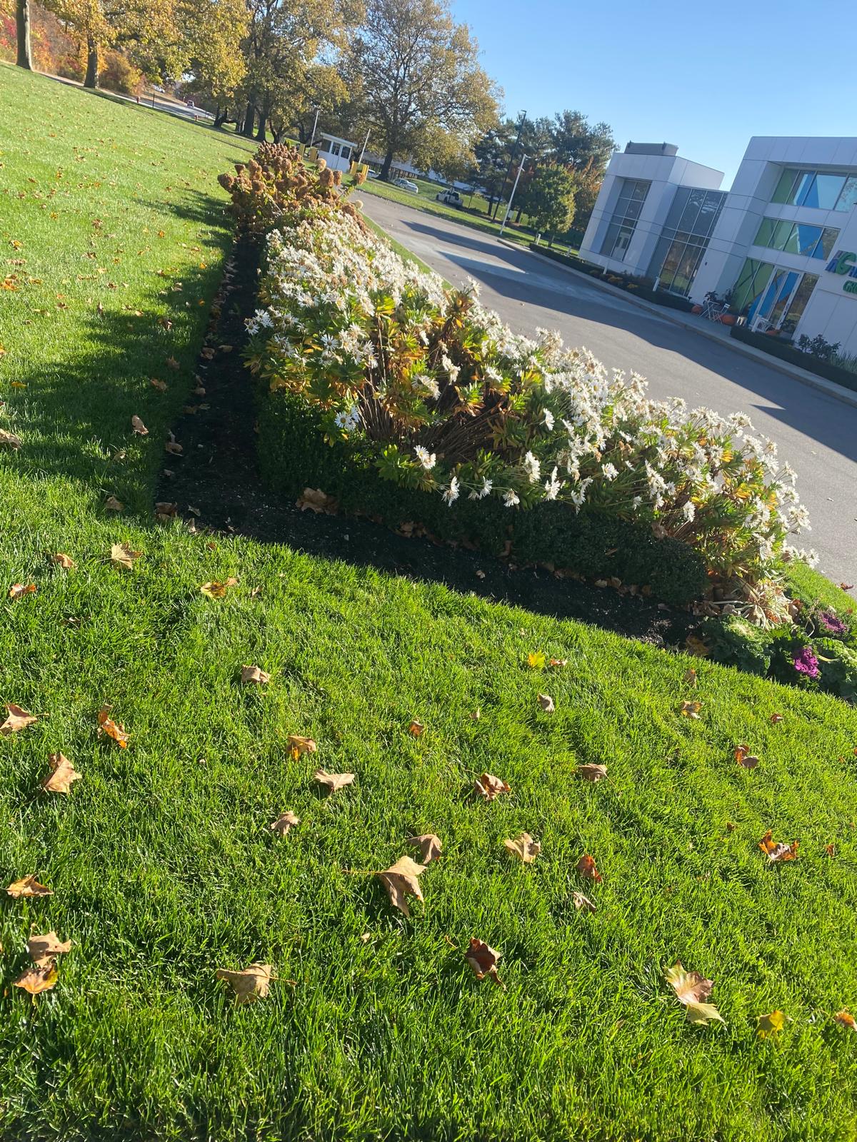 images-8