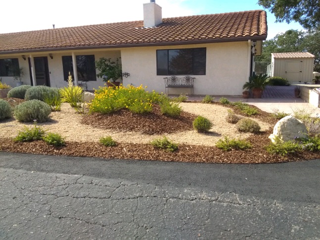 Landscape Maintenance & Installation